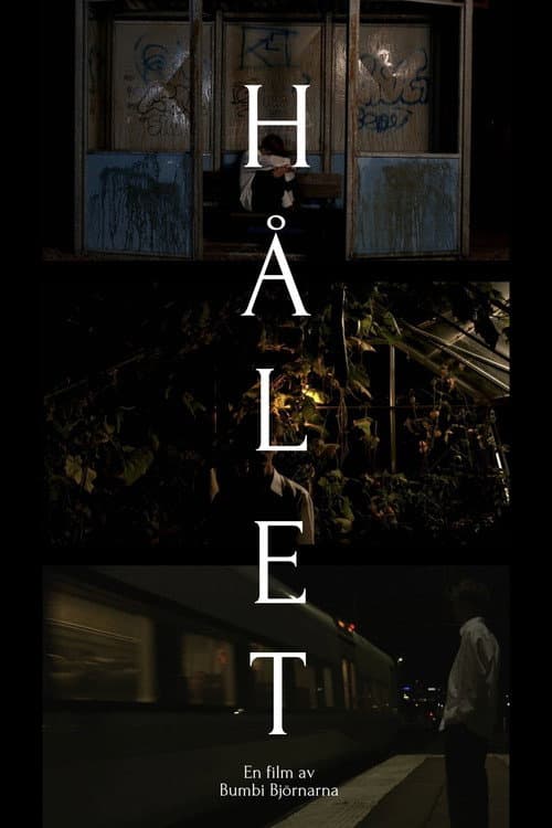 Постер: Hålet
