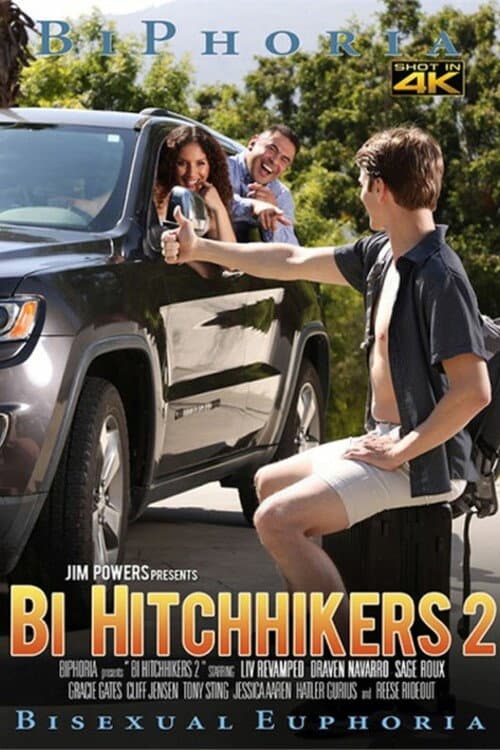 Постер: Bi Hitchhikers 2