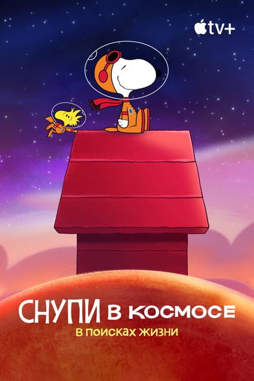 Кадр 4
