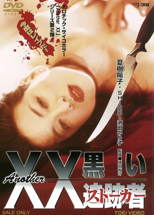 Постер: Another XX 黒い追跡者