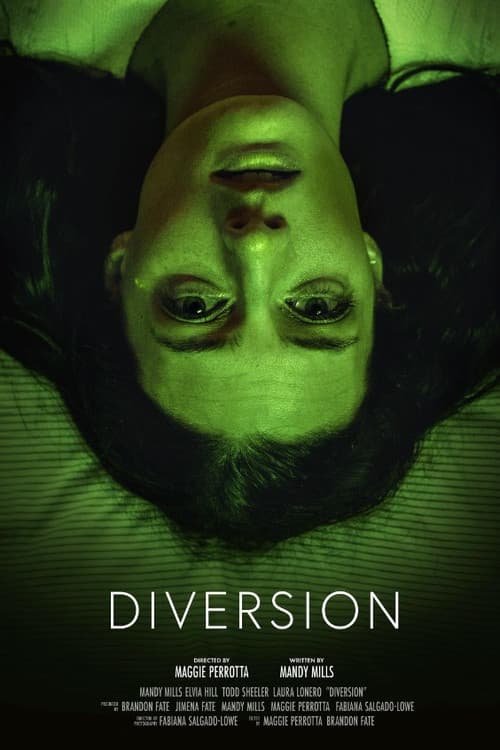 Постер: Diversion