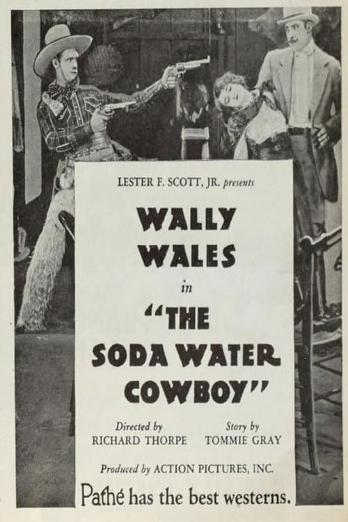 Постер: The Soda Water Cowboy