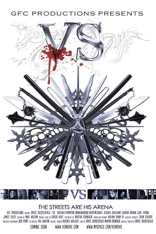 Постер: VS: The Movie