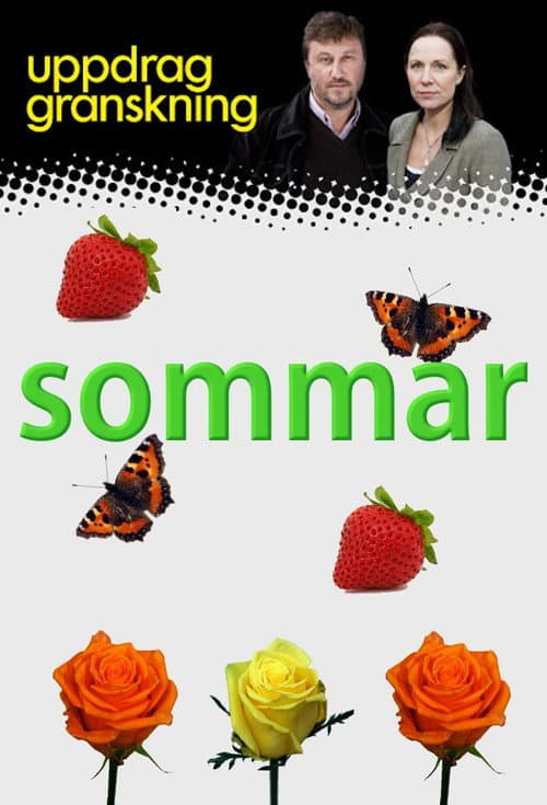 Постер: Uppdrag granskning sommar