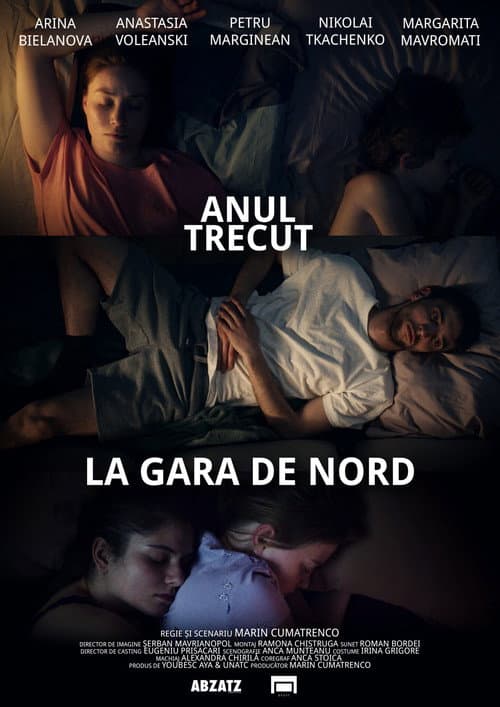 Постер: Anul trecut la Gara de Nord