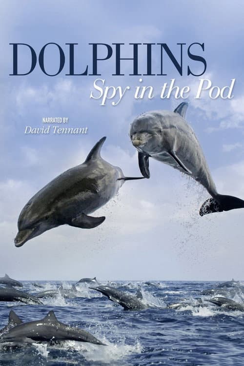 Постер: Dolphins: Spy in the Pod