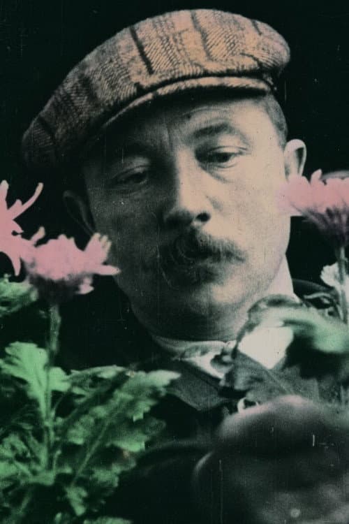 Постер: Le chrysanthème, roi de l'automne