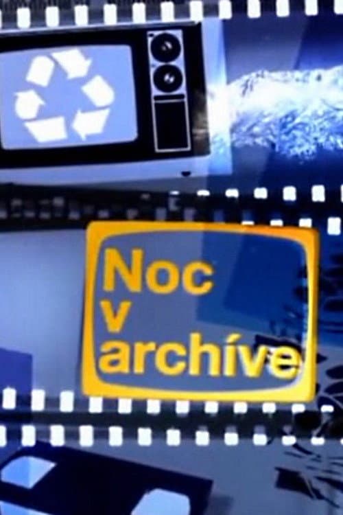 Постер: Noc v archíve