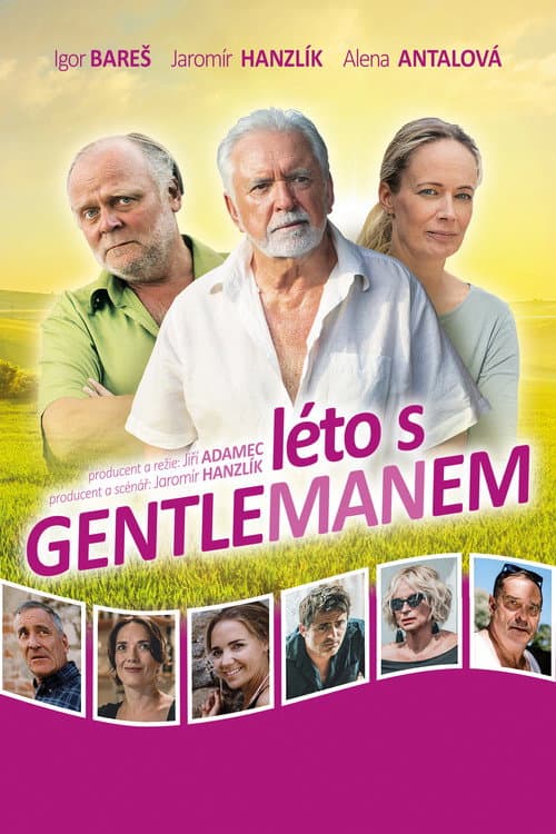Постер: Léto s gentlemanem