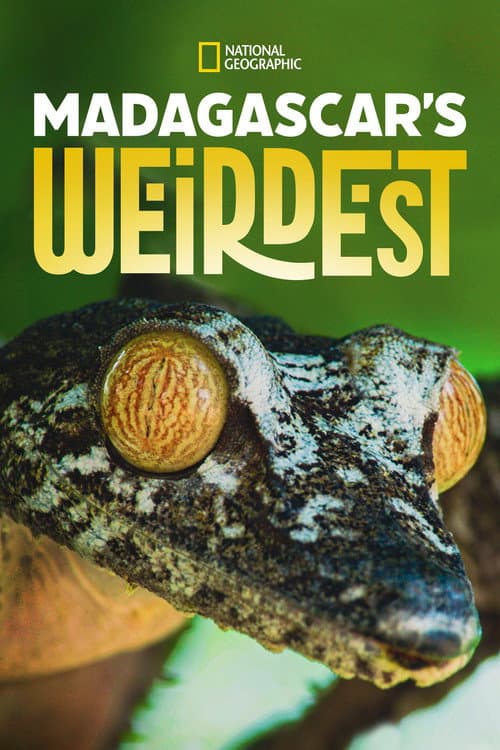 Постер: Madagascar's Weirdest