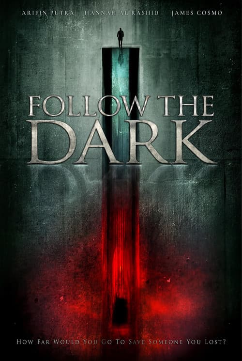 Постер: Follow the Dark
