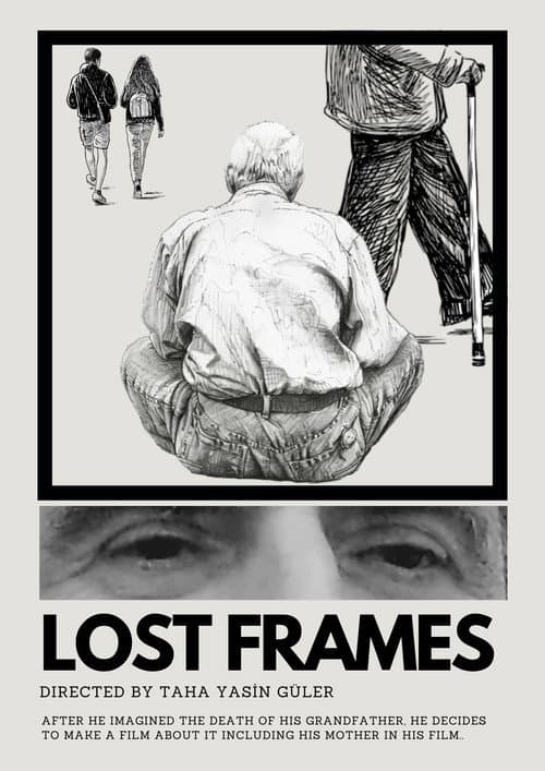 Постер: Lost Frames