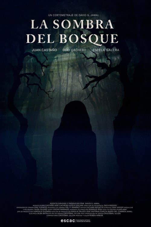 Постер: La Sombra del Bosque