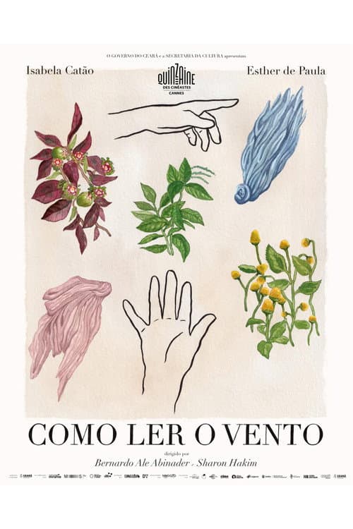 Постер: Como Ler o Vento