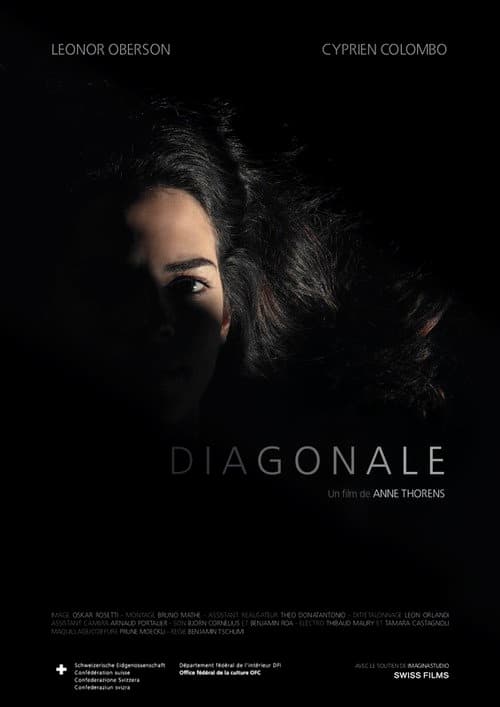 Постер: Diagonale