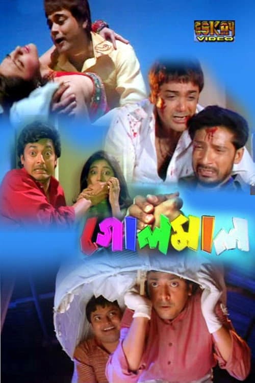 Постер: গোলমাল