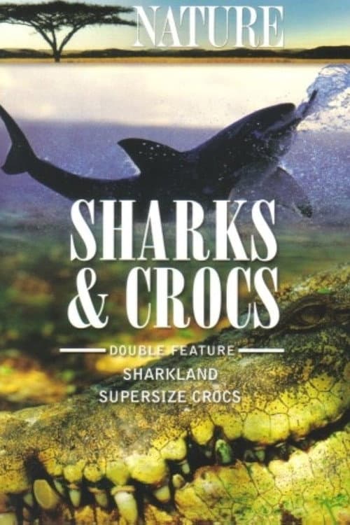 Постер: Sharkland