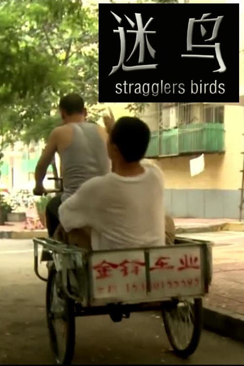 Постер: 迷鸟
