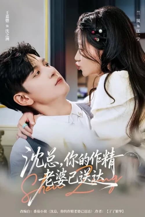 Постер: 沈总,你的作精老婆已送达