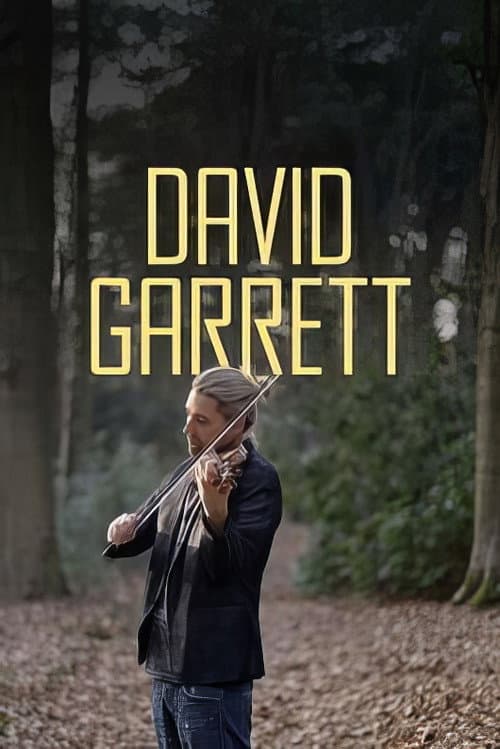 Постер: David Garrett - Ein Weltstar ganz privat