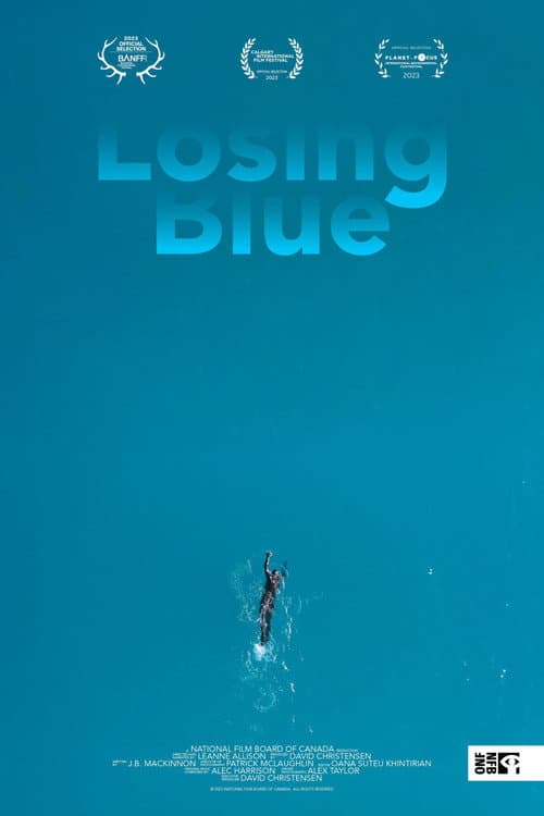 Постер: Losing Blue