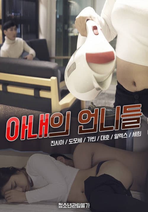 Постер: 아내의 언니들