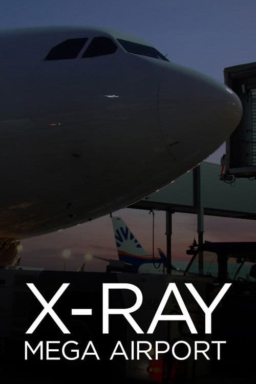 Постер: X-Ray Mega Airport
