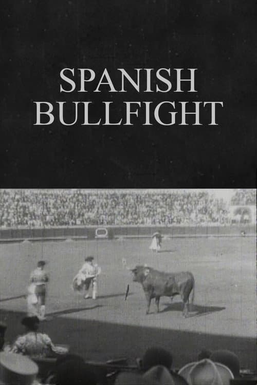 Постер: Spanish Bullfight