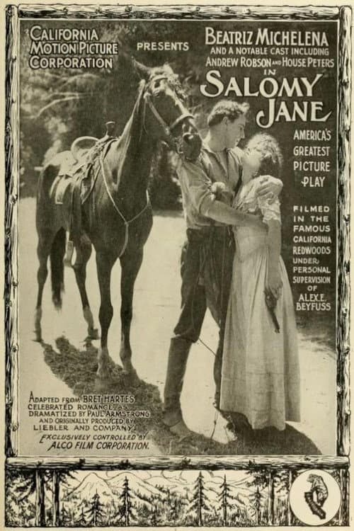 Постер: Salomy Jane