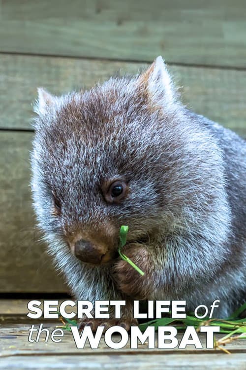 Постер: Secret Life of the Wombat