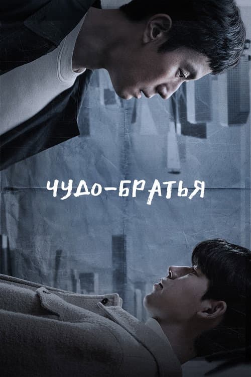 Постер: Чудо-братья