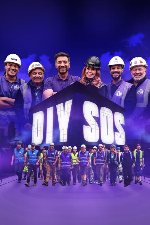 Постер: DIY SOS