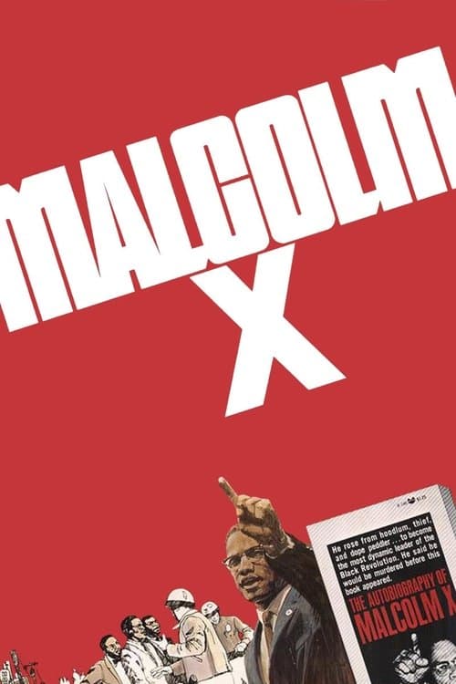 Постер: Malcolm X