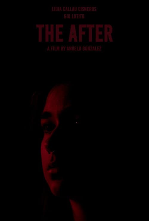 Постер: The After