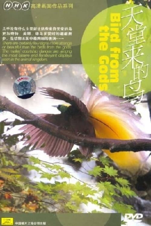 Постер: Birds from the Gods