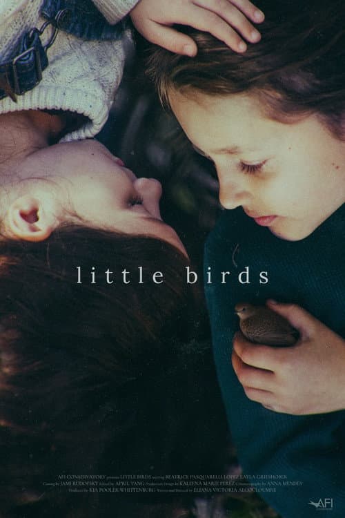 Постер: Little Birds