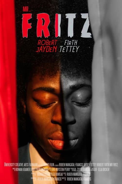 Постер: Mr. Fritz