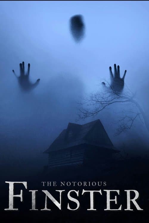 Постер: The Notorious Finster