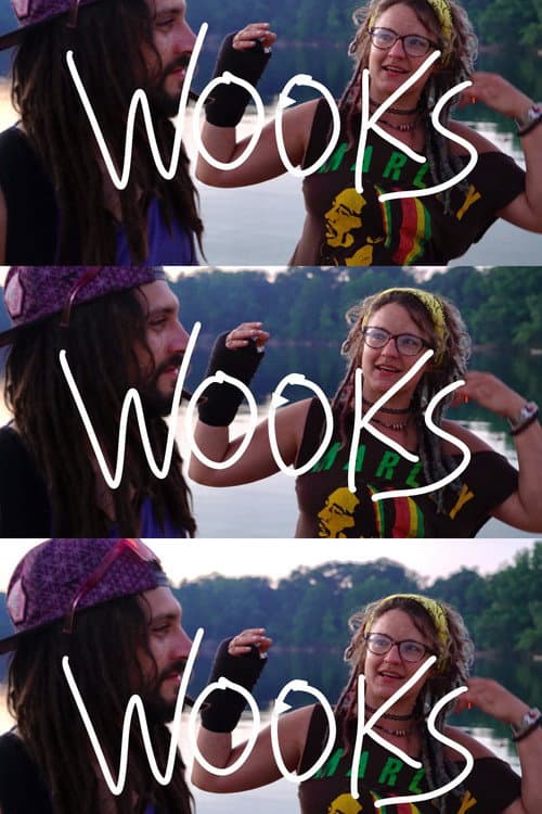 Постер: Wooks
