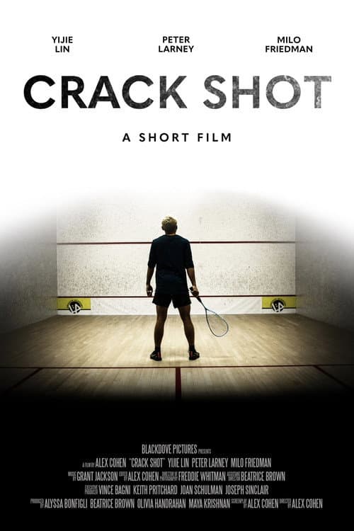 Постер: Crack Shot