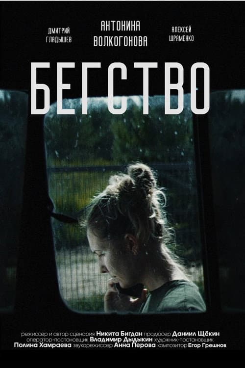 Постер: Бегство 2024