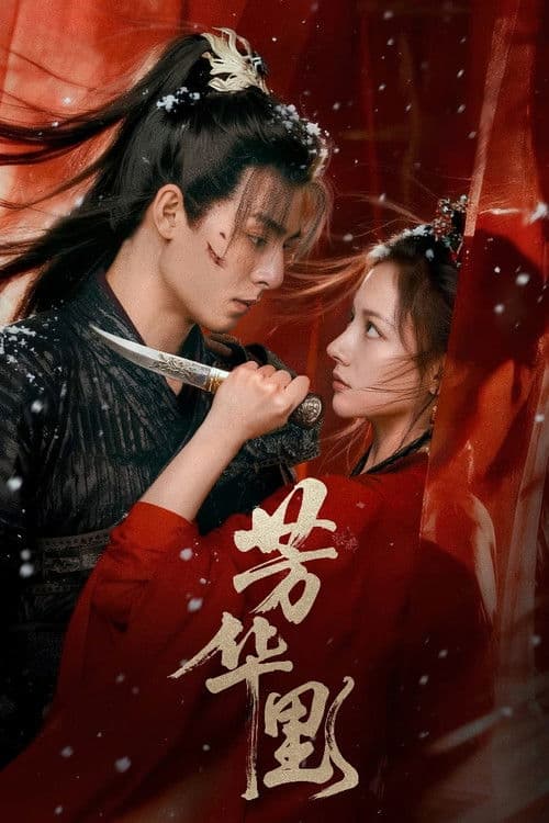 Постер: 芳华里