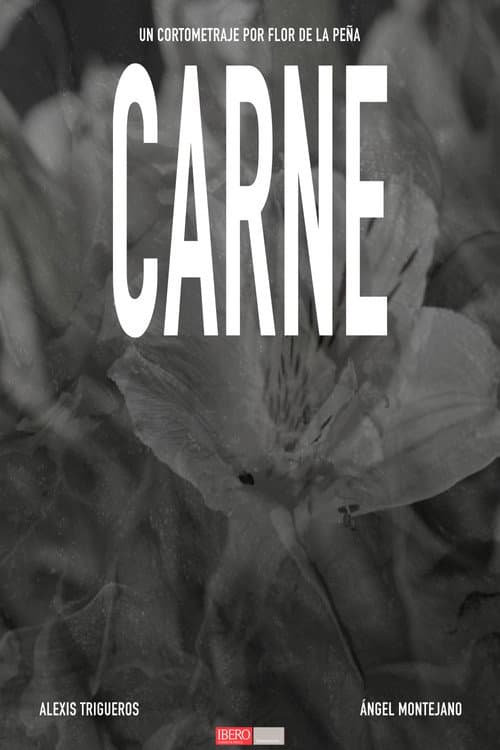 Постер: CARNE