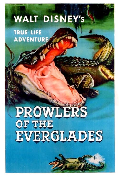 Постер: Prowlers of the Everglades