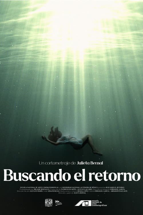 Постер: Buscando el retorno