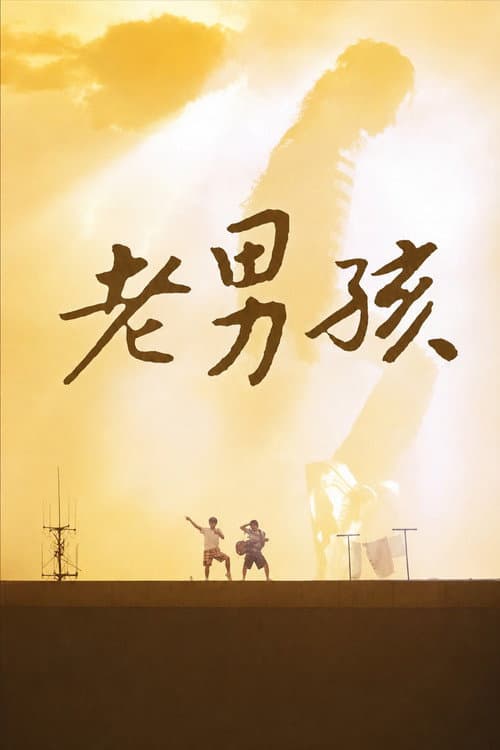 Постер: 11度青春之老男孩
