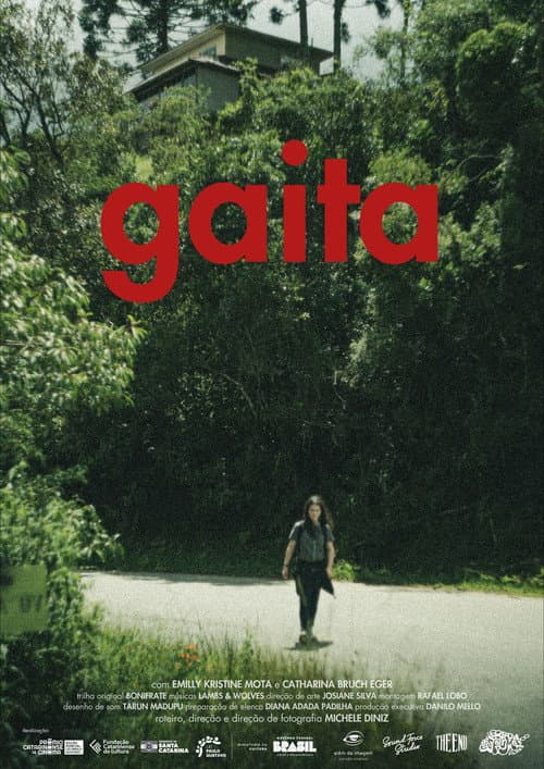 Постер: Gaita
