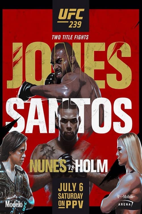 Постер: UFC 239: Jones vs. Santos