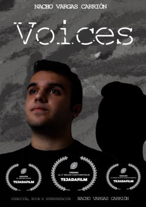 Постер: Voices