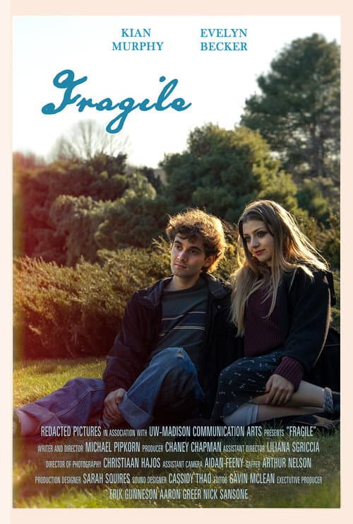 Постер: Fragile